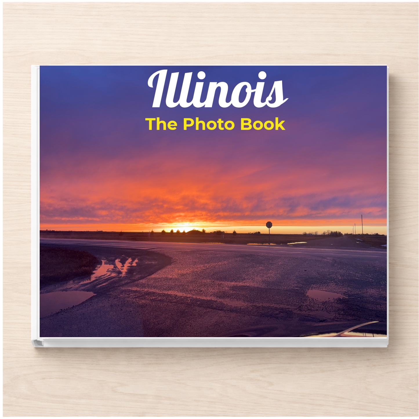 Illinois: The Photo Book
