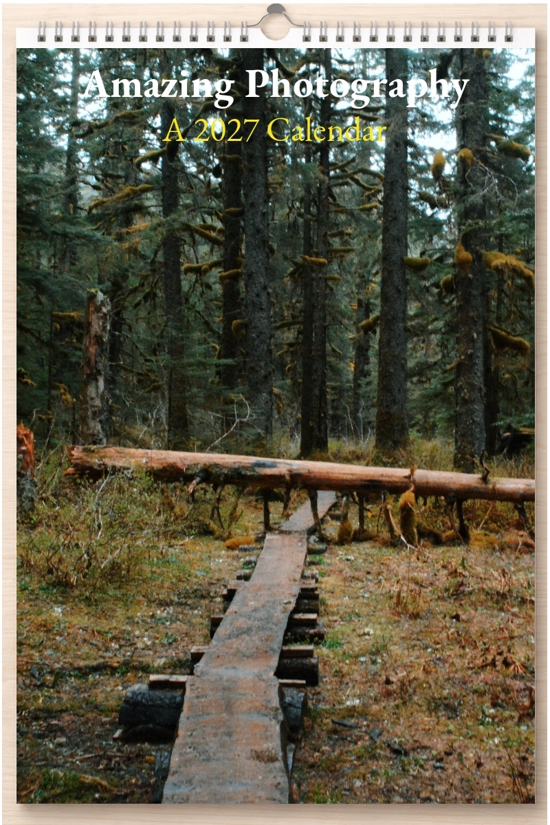 Amazing Photography: A 2027 Calendar