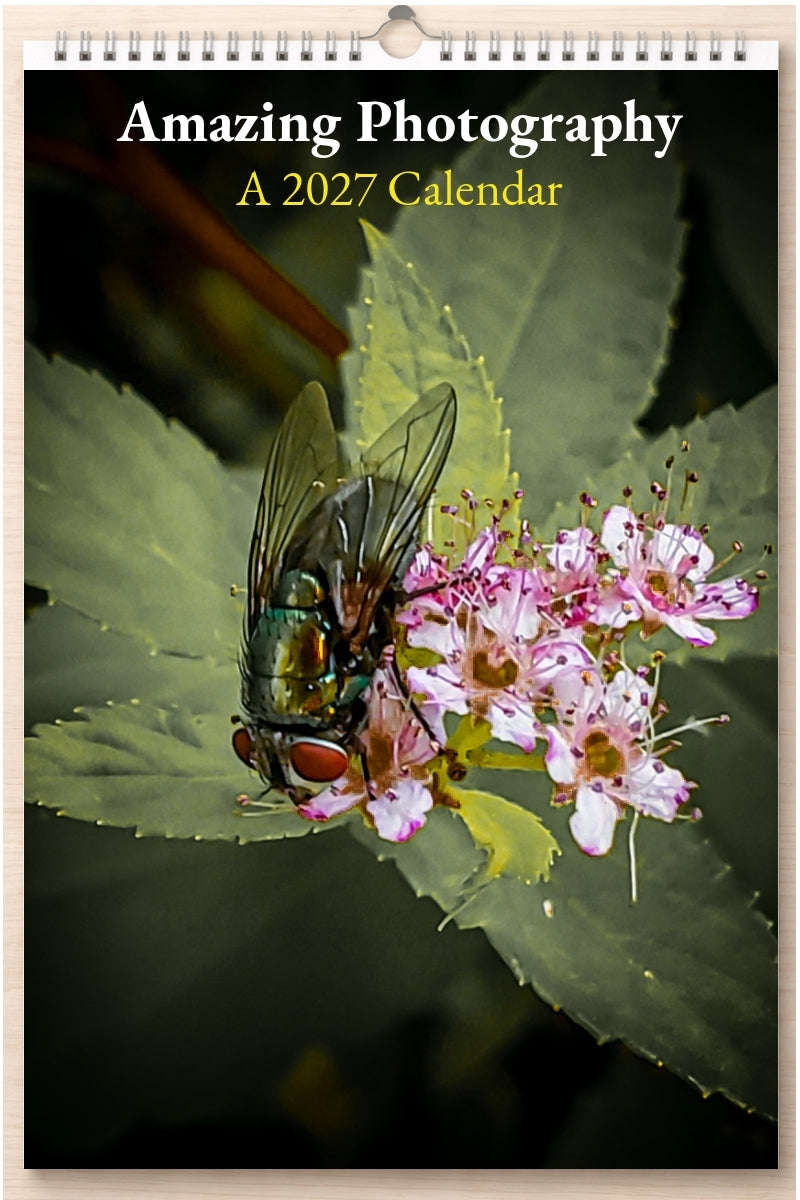 Amazing Photography: A 2027 Calendar