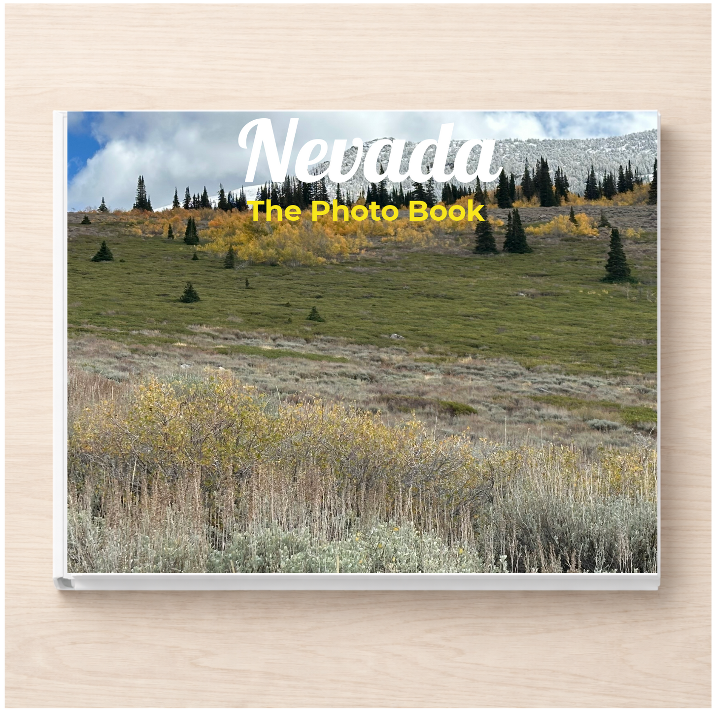 Nevada: The Photo Book