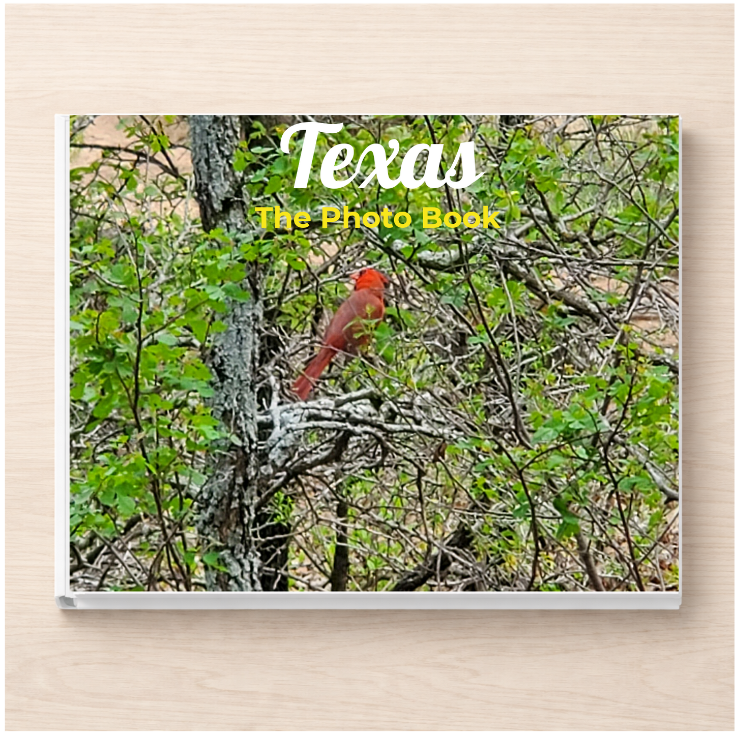 Texas: The Photo Book