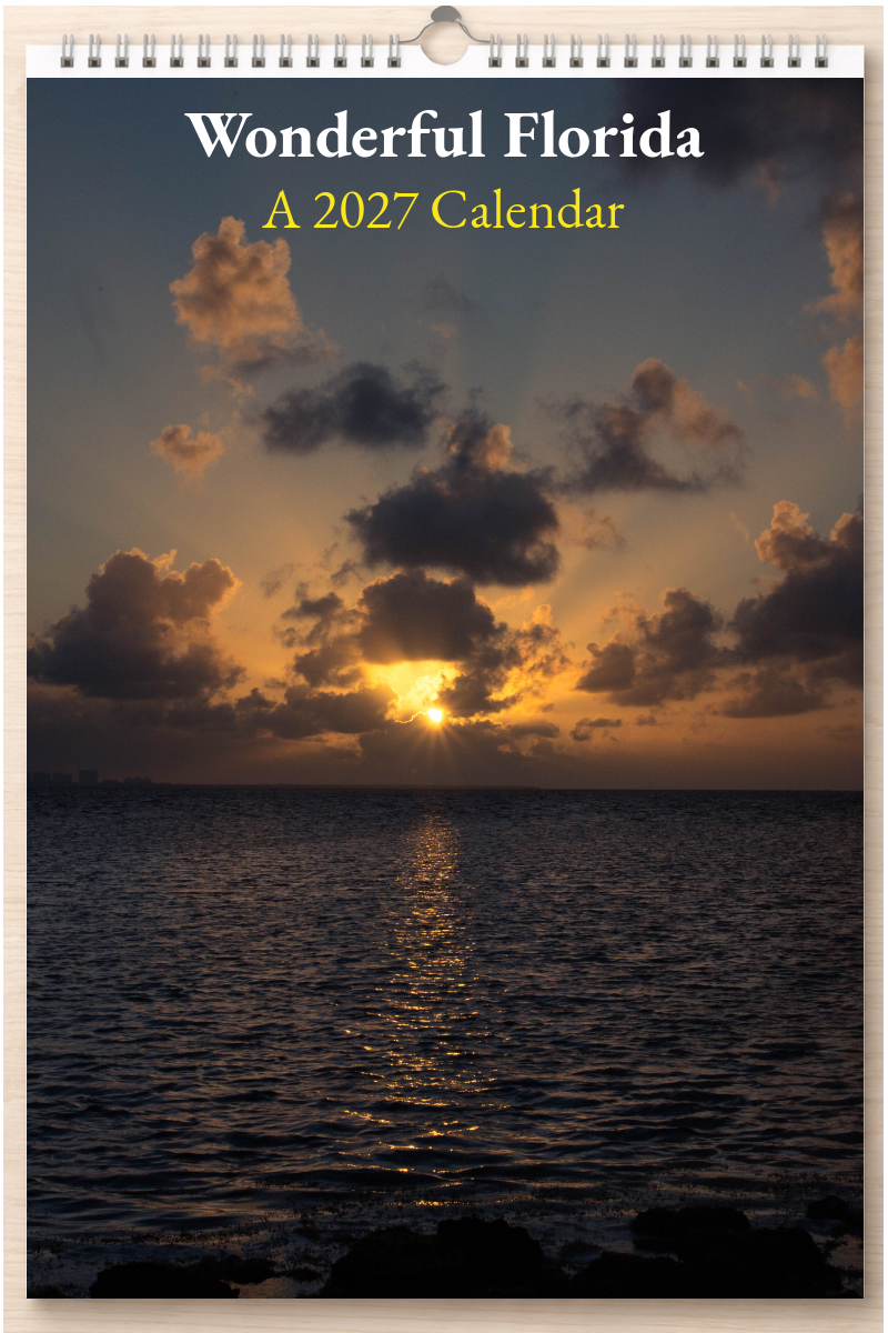 Wonderful Florida: A 2027 Calendar