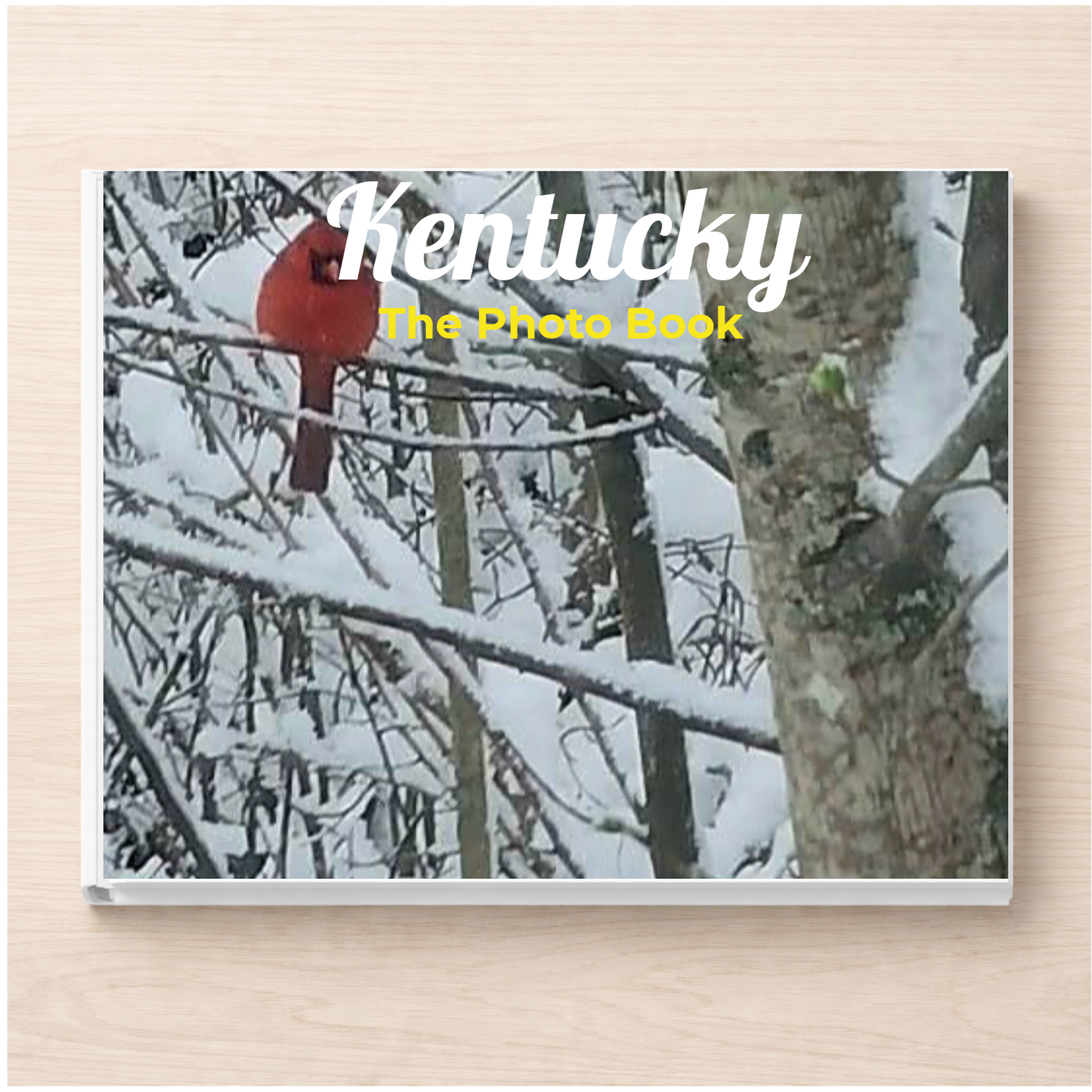 Kentucky: The Photo Book