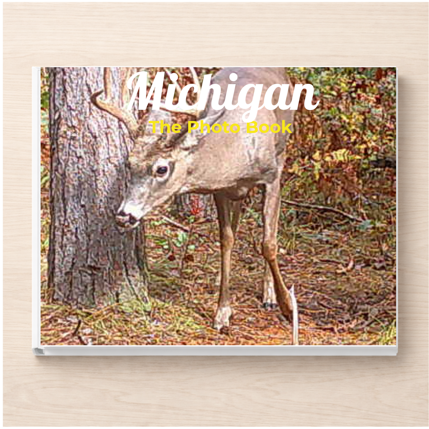 Michigan: The Photo Book