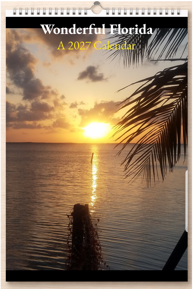Wonderful Florida: A 2027 Calendar