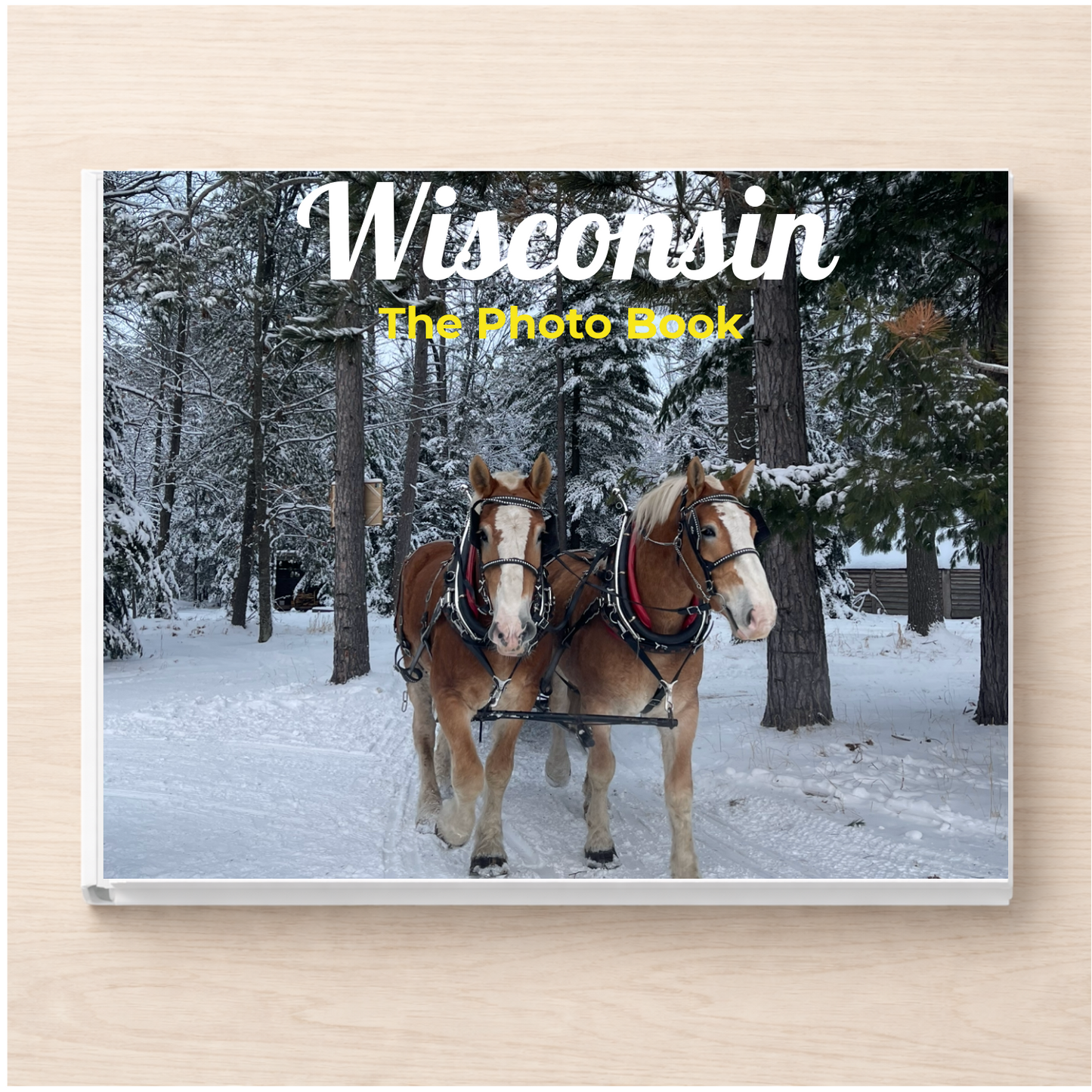 Wisconsin: The Photo Book