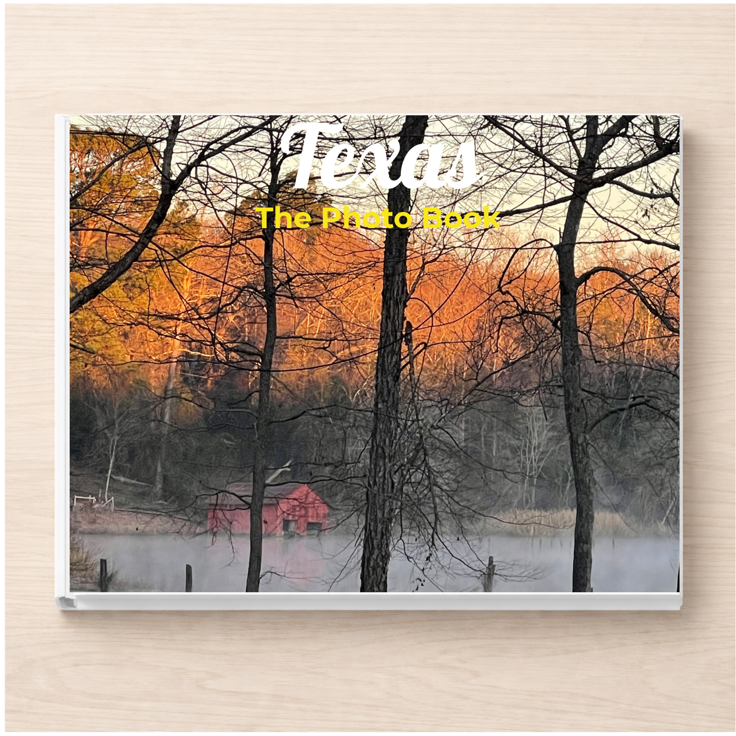 Texas: The Photo Book
