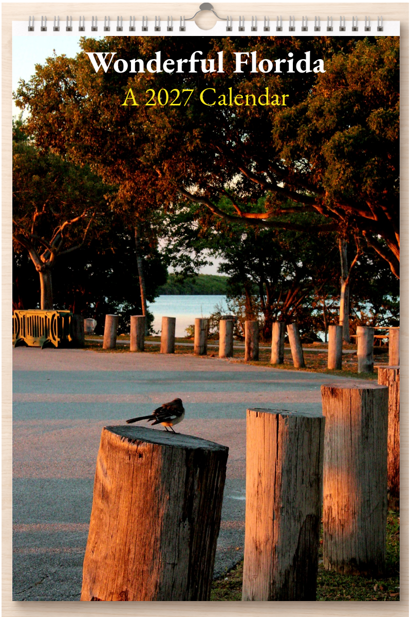 Wonderful Florida: A 2027 Calendar
