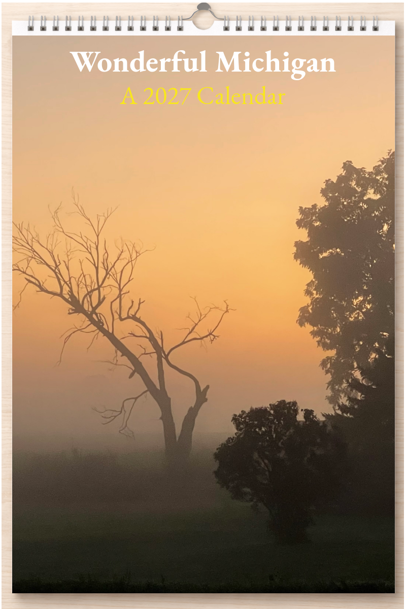 Wonderful Michigan: A 2027 Calendar