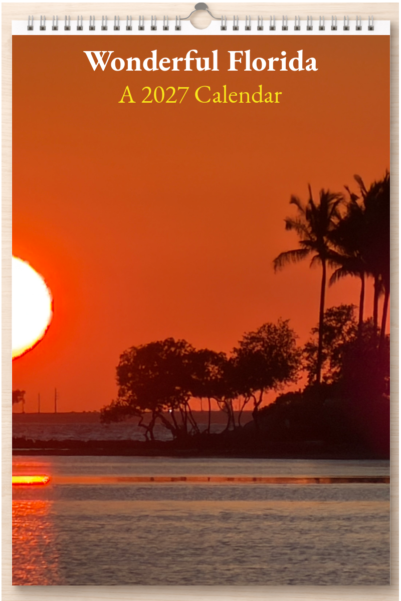 Wonderful Florida: A 2027 Calendar