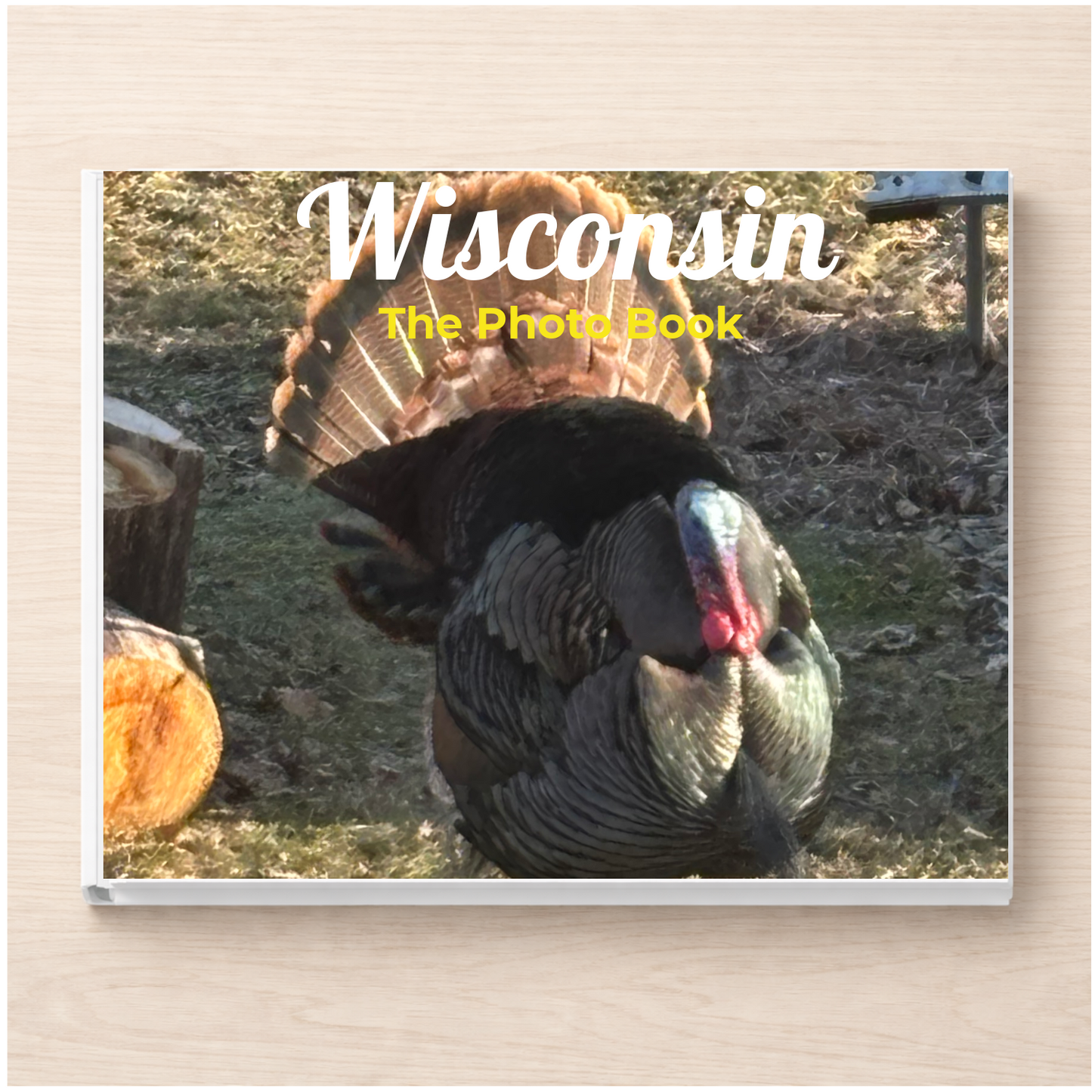 Wisconsin: The Photo Book