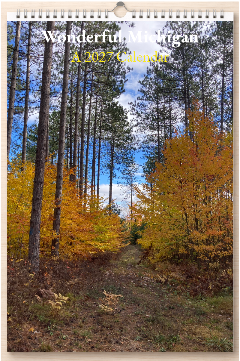 Wonderful Michigan: A 2027 Calendar