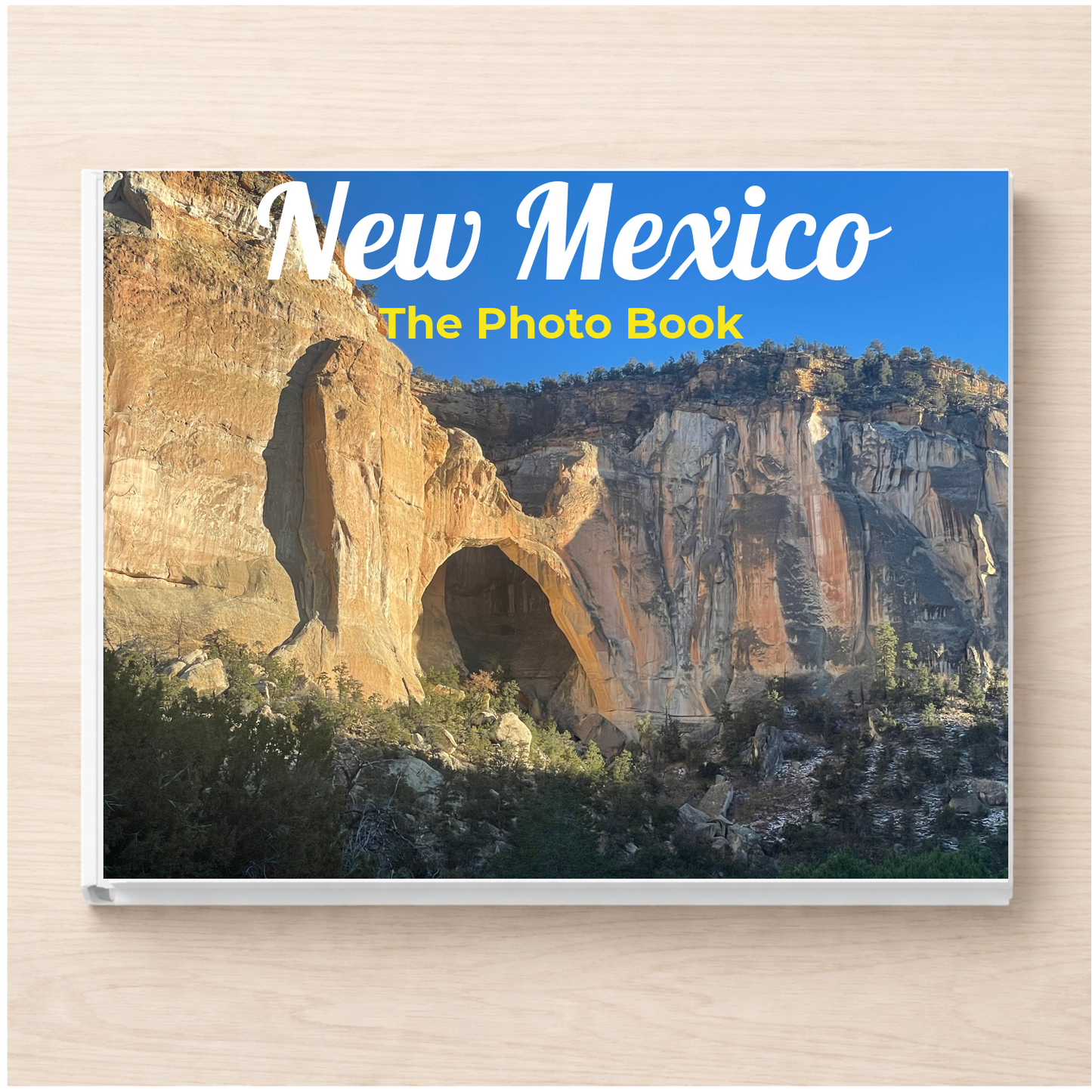 New Mexico: The Photo Book
