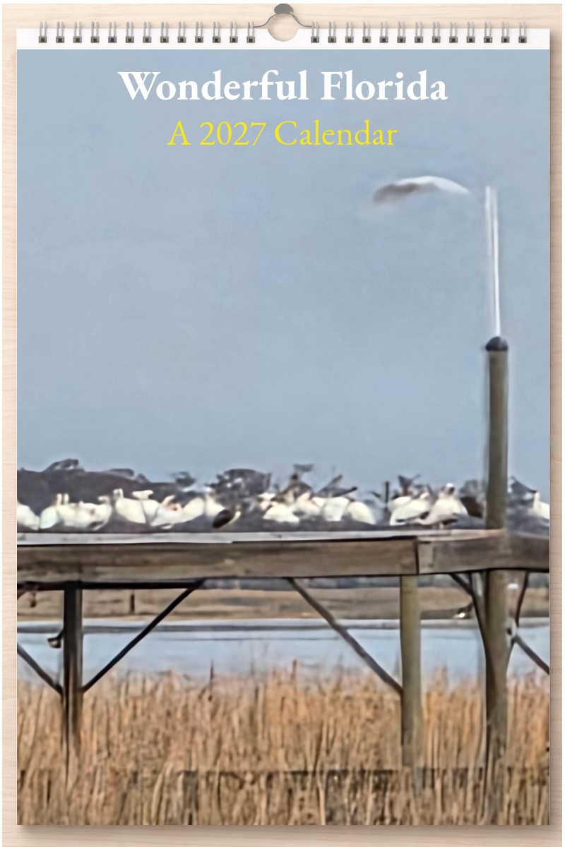 Wonderful Florida: A 2027 Calendar