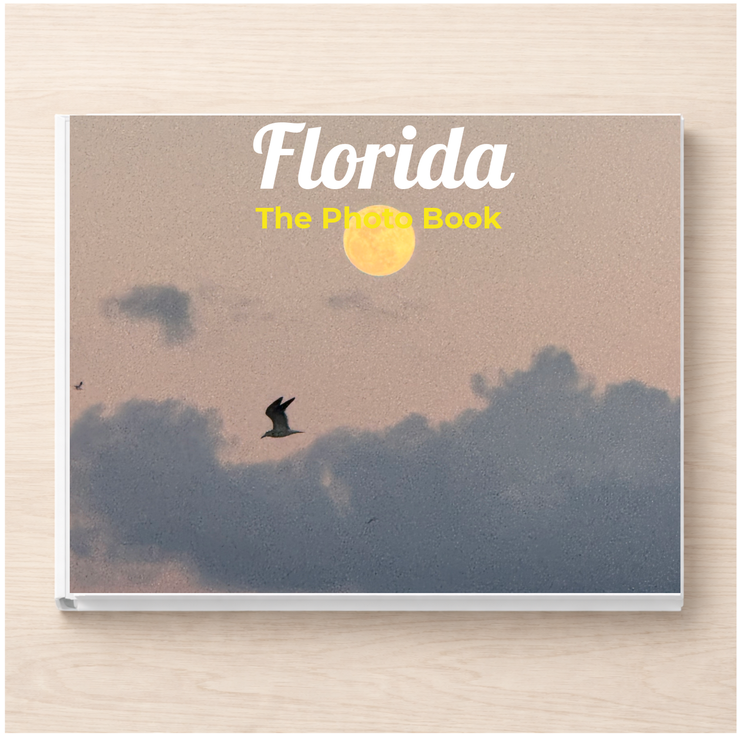 Florida: The Photo Book
