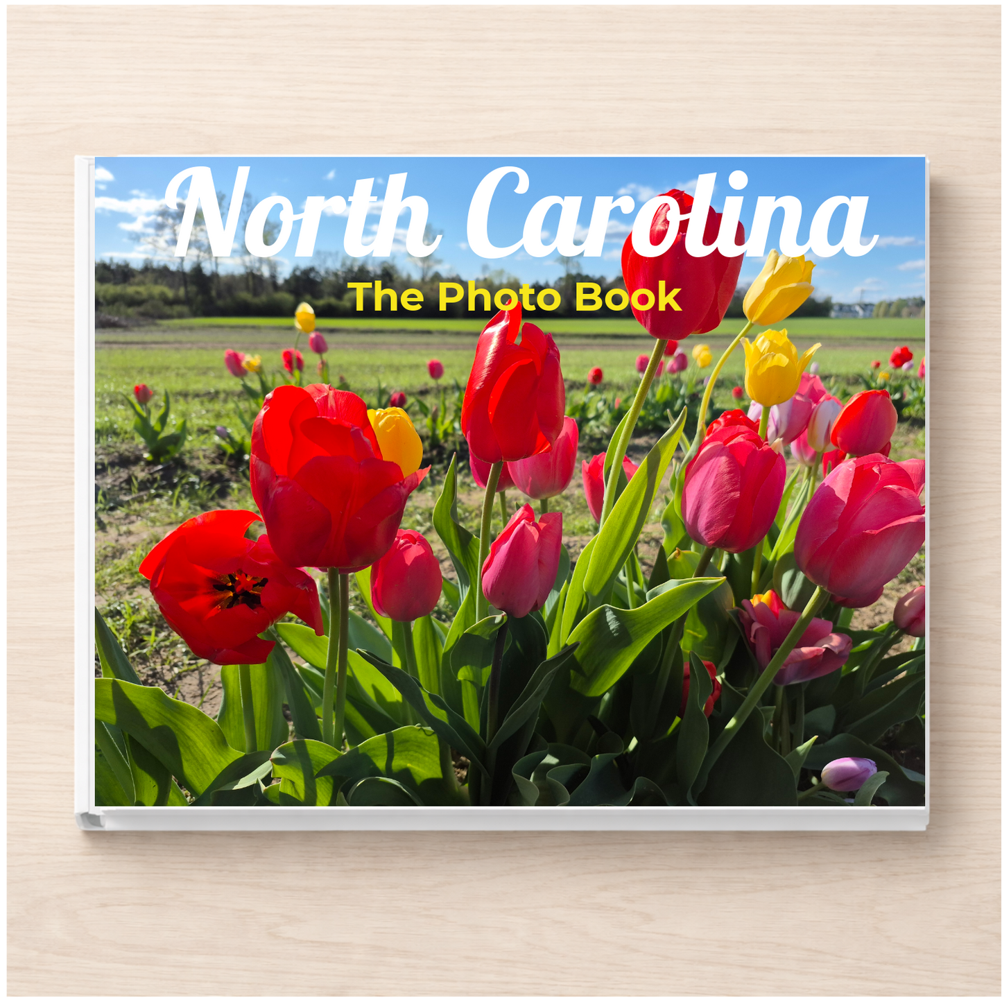 North Carolina: The Photo Book