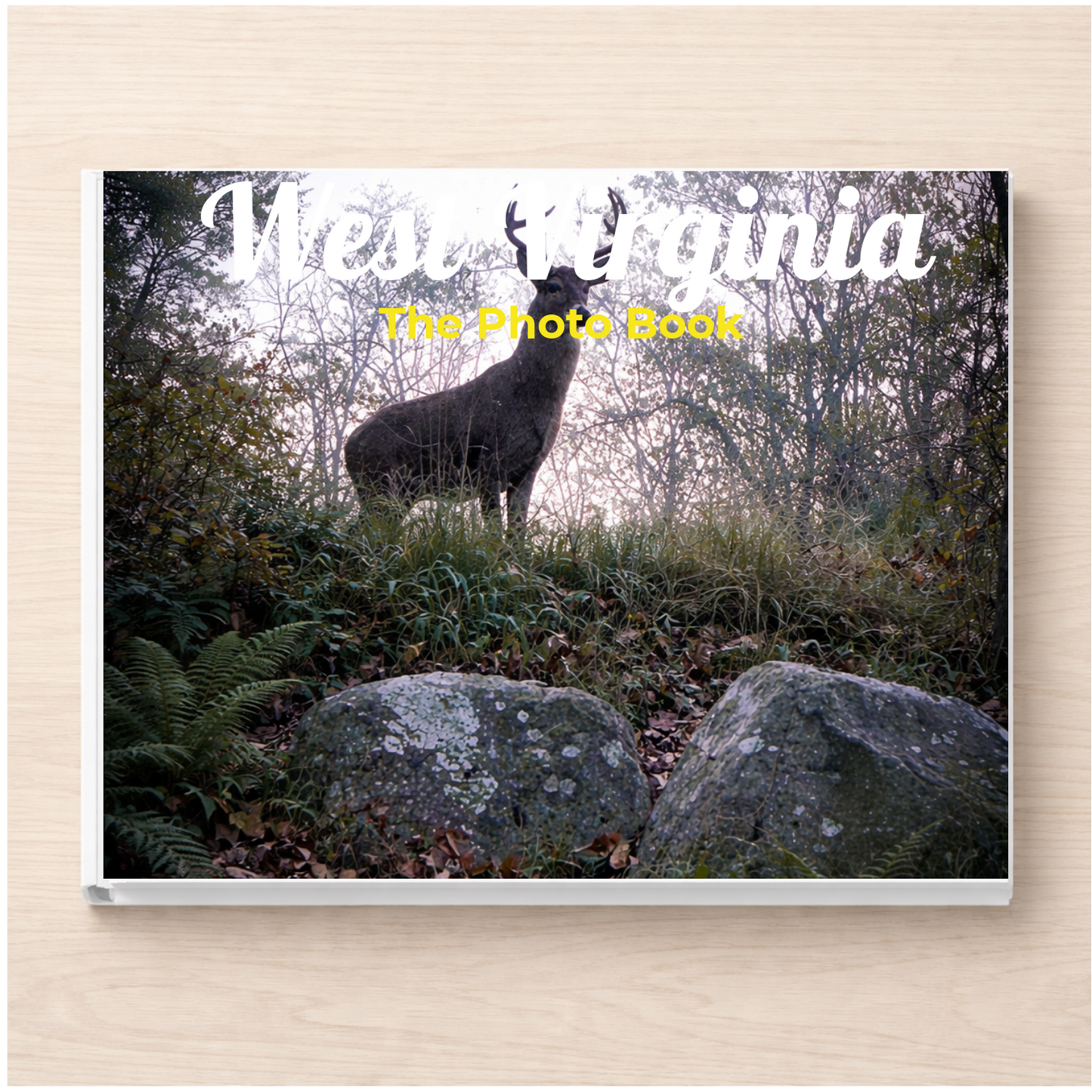 West Virginia: The Photo Book
