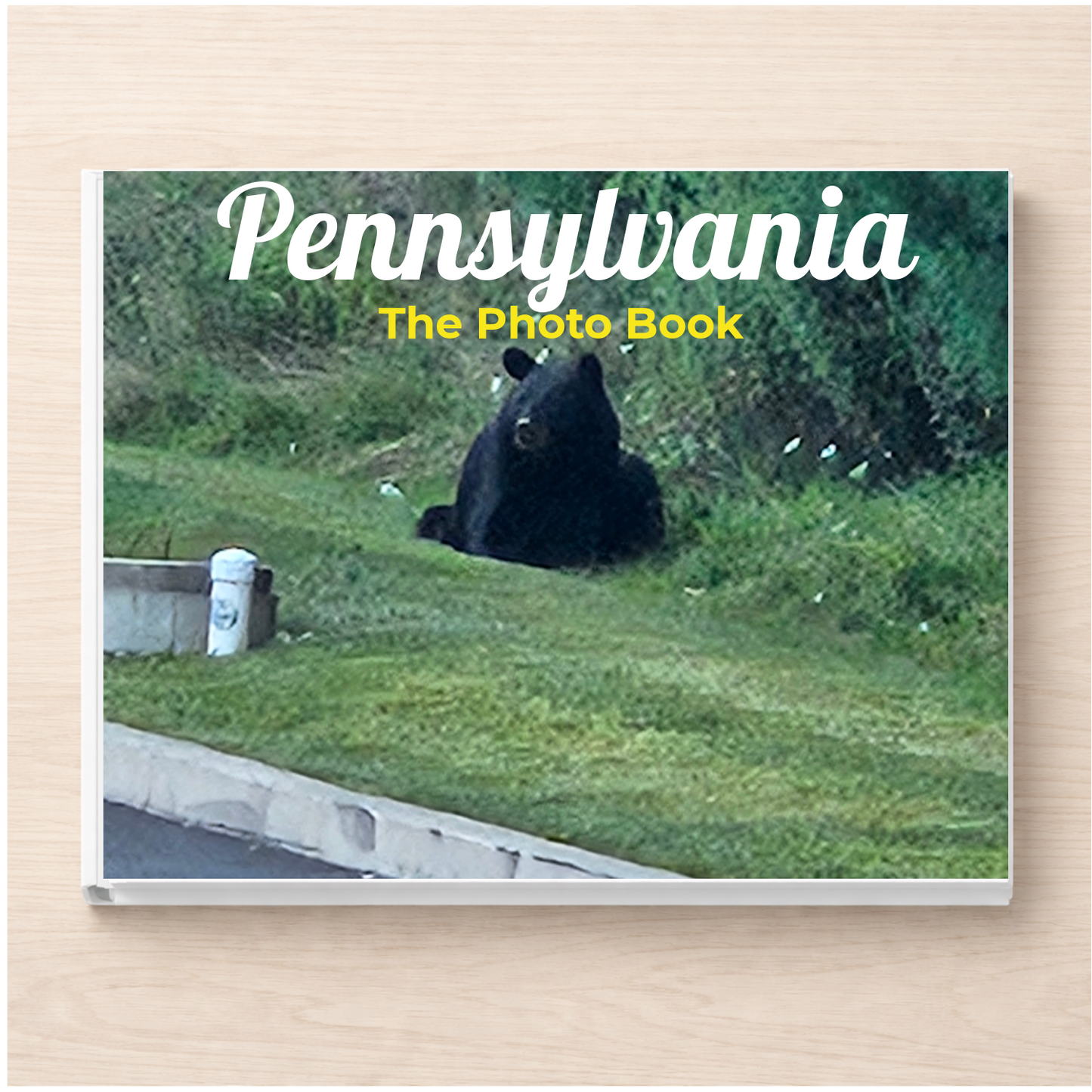 Pennsylvania: The Photo Book