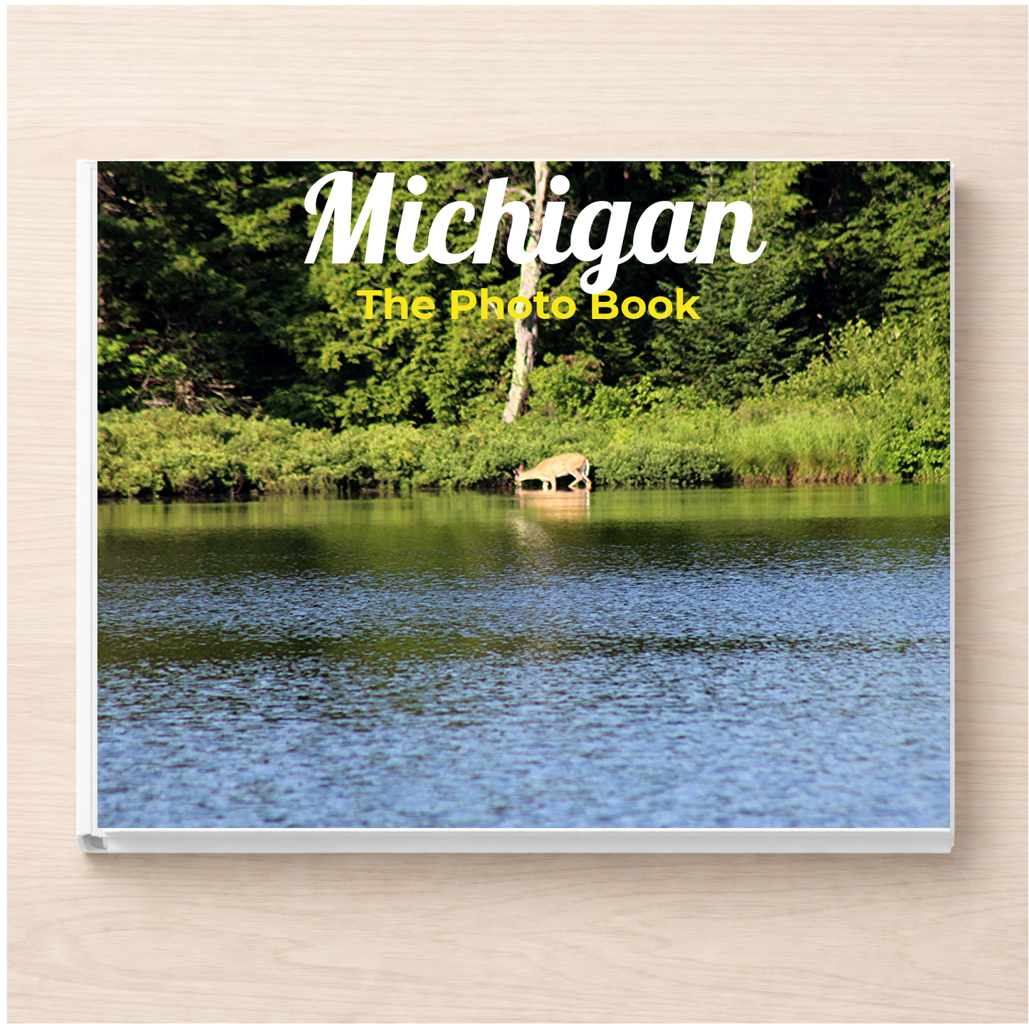 Michigan: The Photo Book
