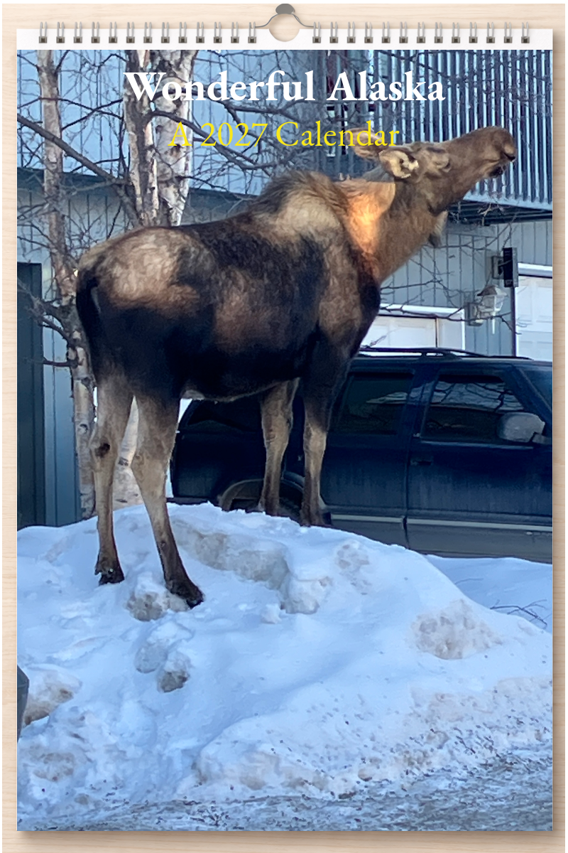 Wonderful Alaska: A 2027 Calendar