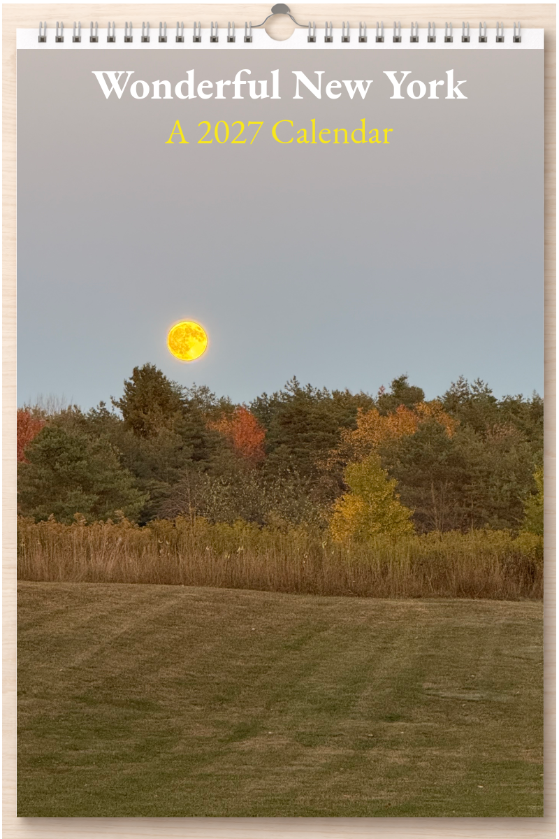 Wonderful New York: A 2027 Calendar