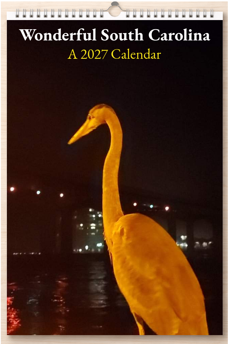 Wonderful South Carolina: A 2027 Calendar