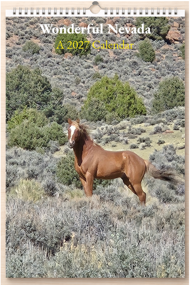 Wonderful Nevada: A 2027 Calendar