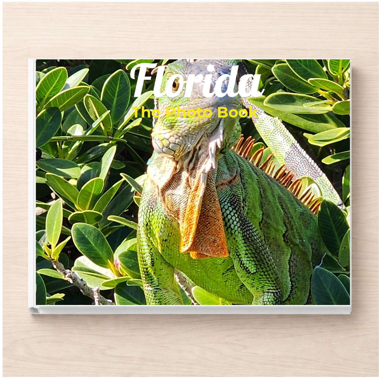 Florida: The Photo Book