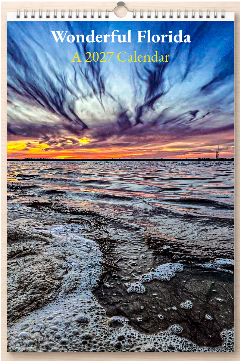 Wonderful Florida: A 2027 Calendar