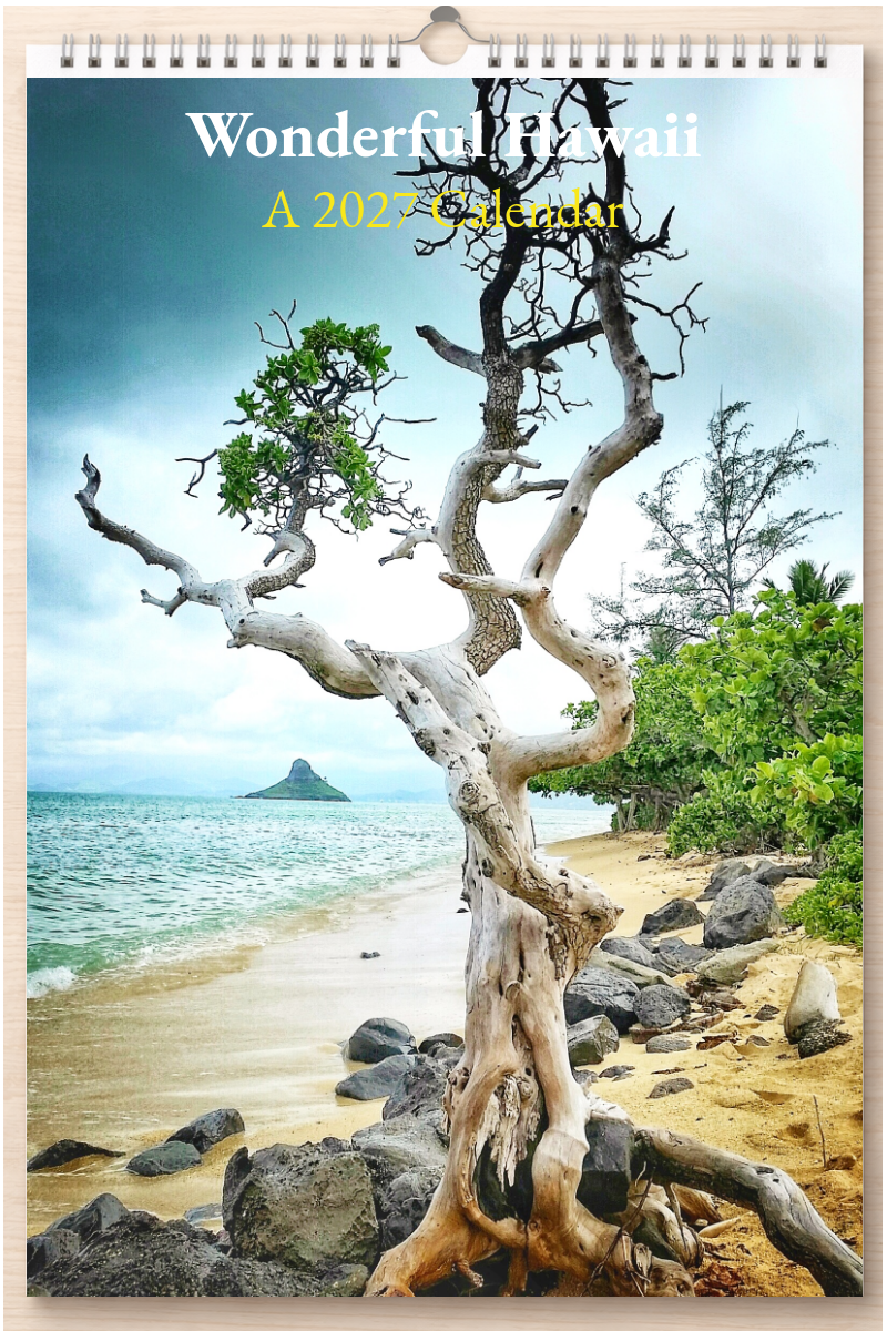 Wonderful Hawaii: A 2027 Calendar