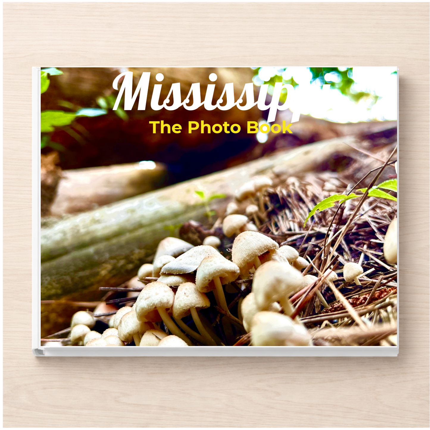 Mississippi: The Photo Book