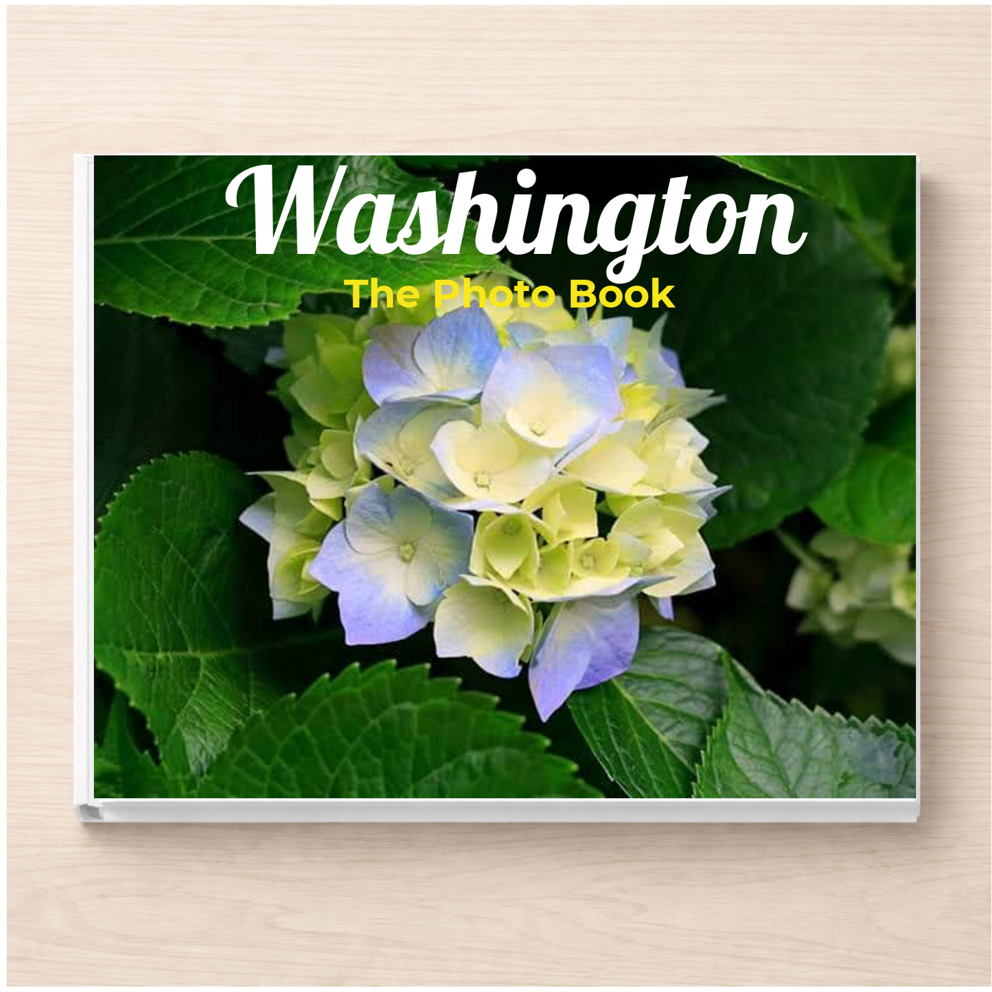Washington: The Photo Book