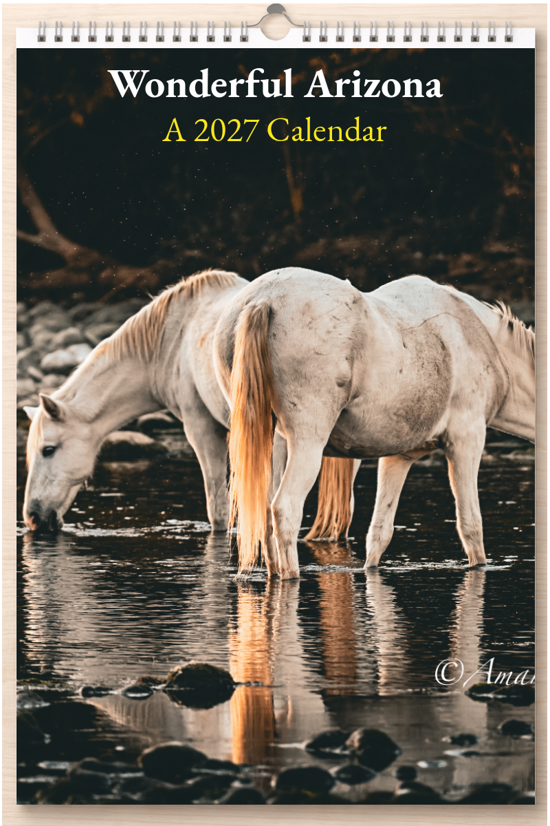 Wonderful Arizona: A 2027 Calendar