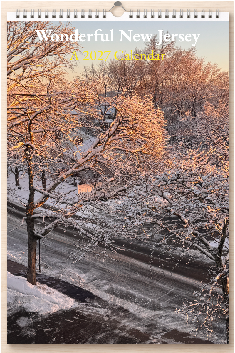 Wonderful New Jersey: A 2027 Calendar