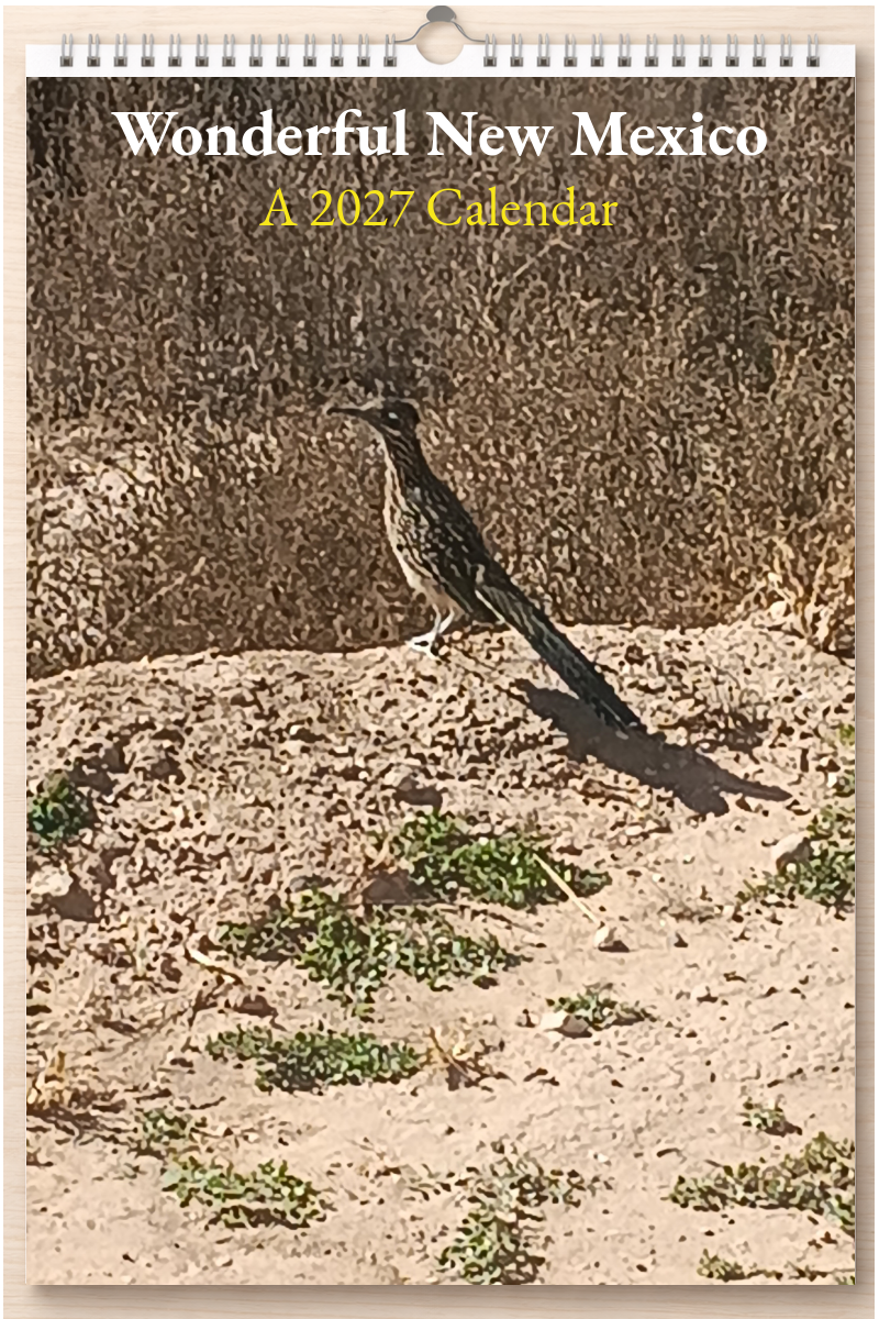 Wonderful New Mexico: A 2027 Calendar