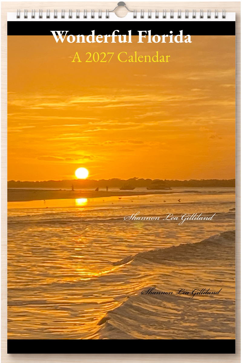 Wonderful Florida: A 2027 Calendar