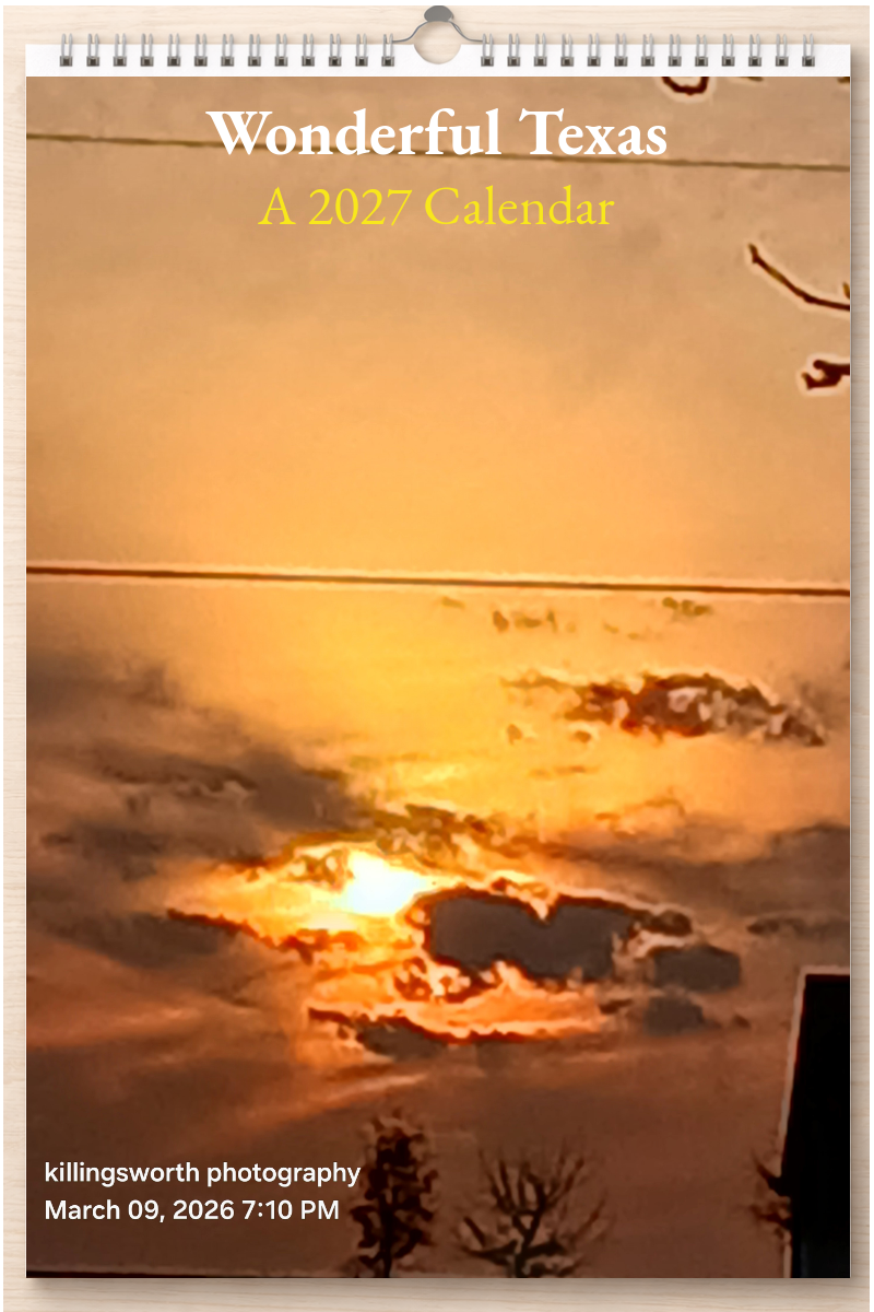 Wonderful Texas: A 2027 Calendar