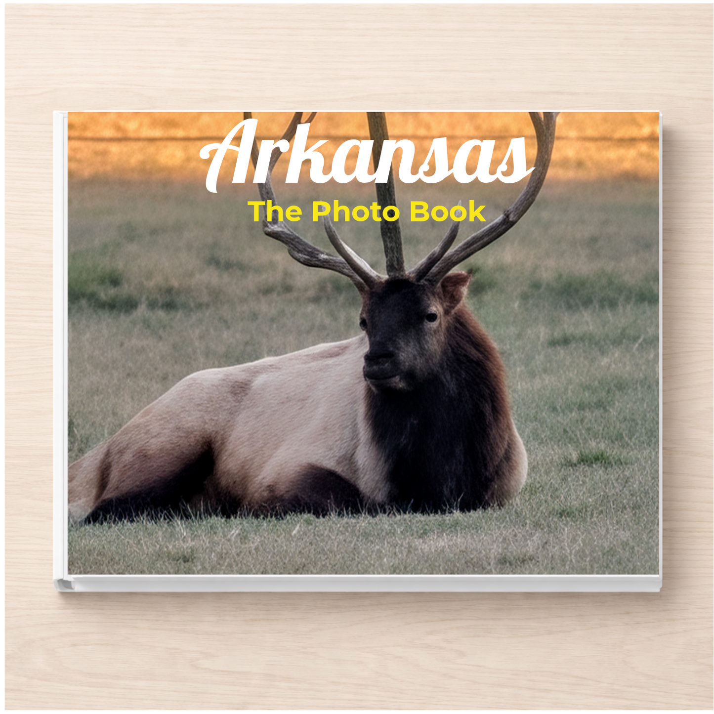 Arkansas: The Photo Book