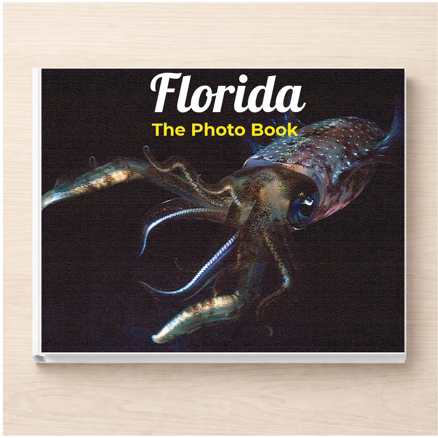 Florida: The Photo Book