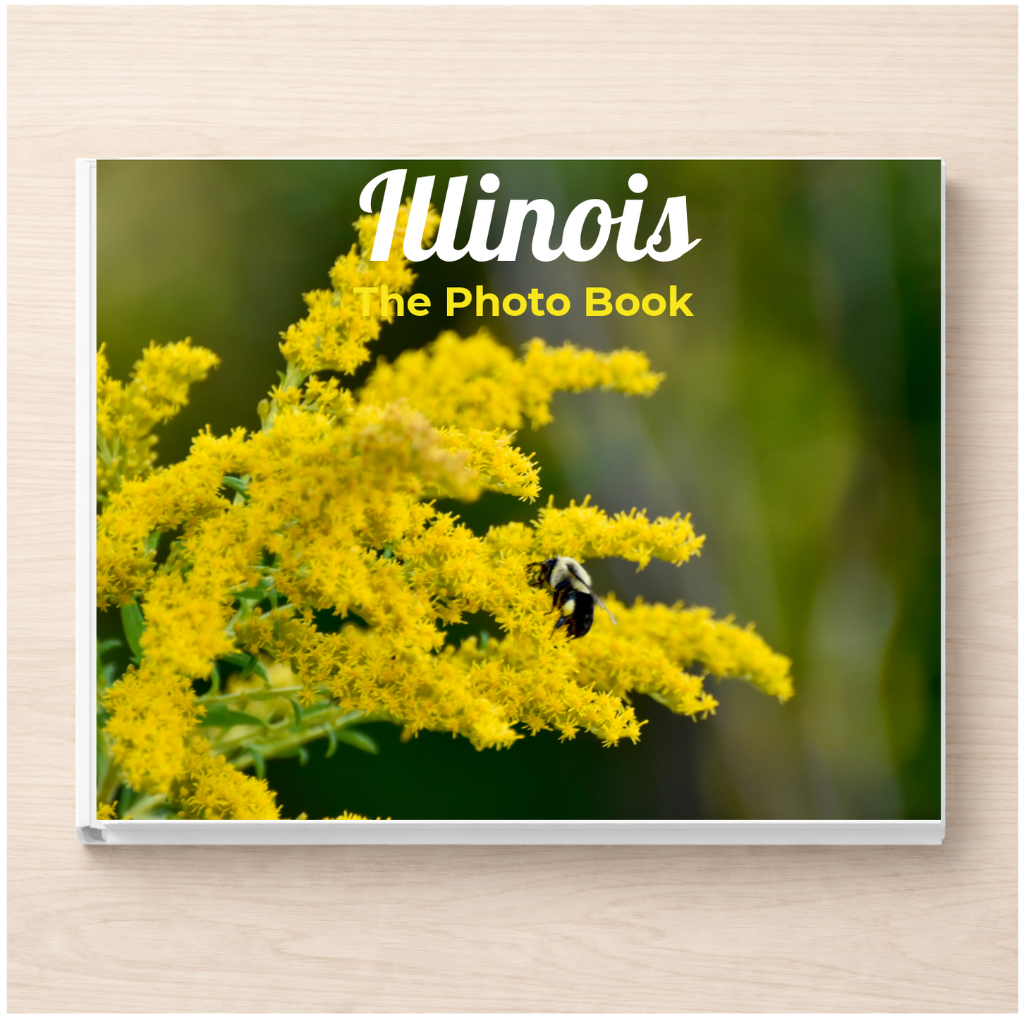 Illinois: The Photo Book