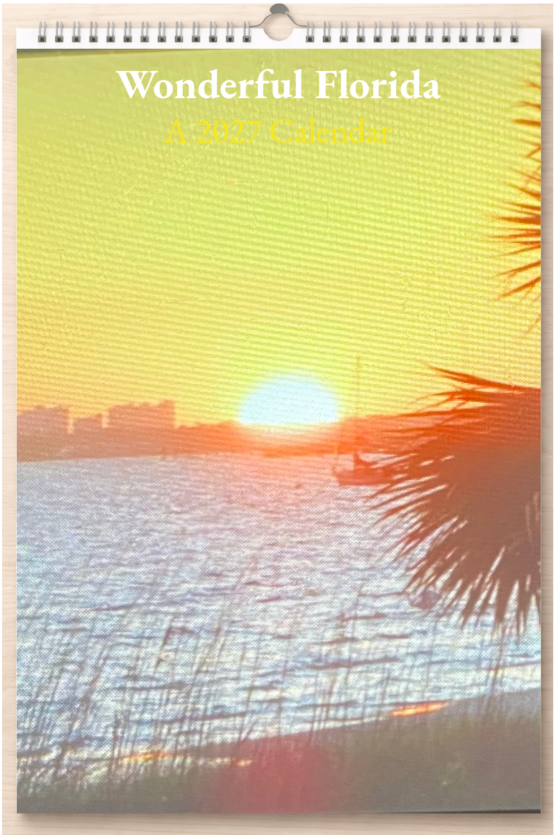 Wonderful Florida: A 2027 Calendar