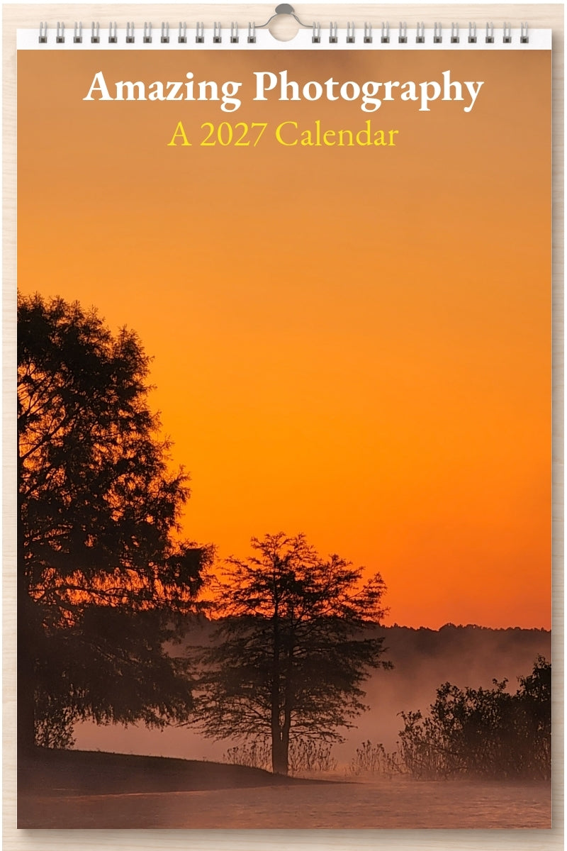 Amazing Photography: A 2027 Calendar