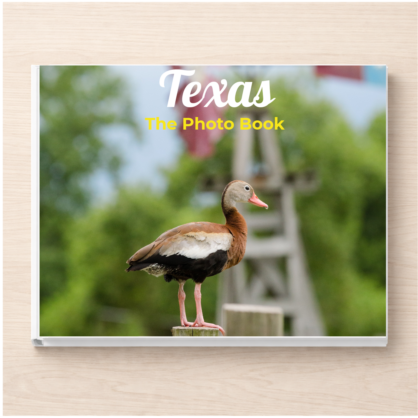 Texas: The Photo Book