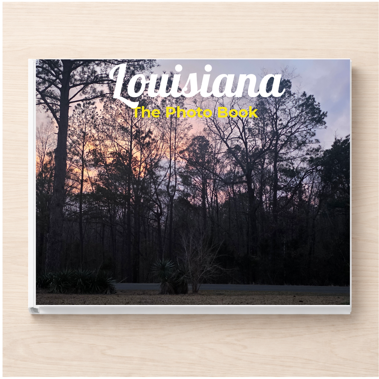 Louisiana: The Photo Book