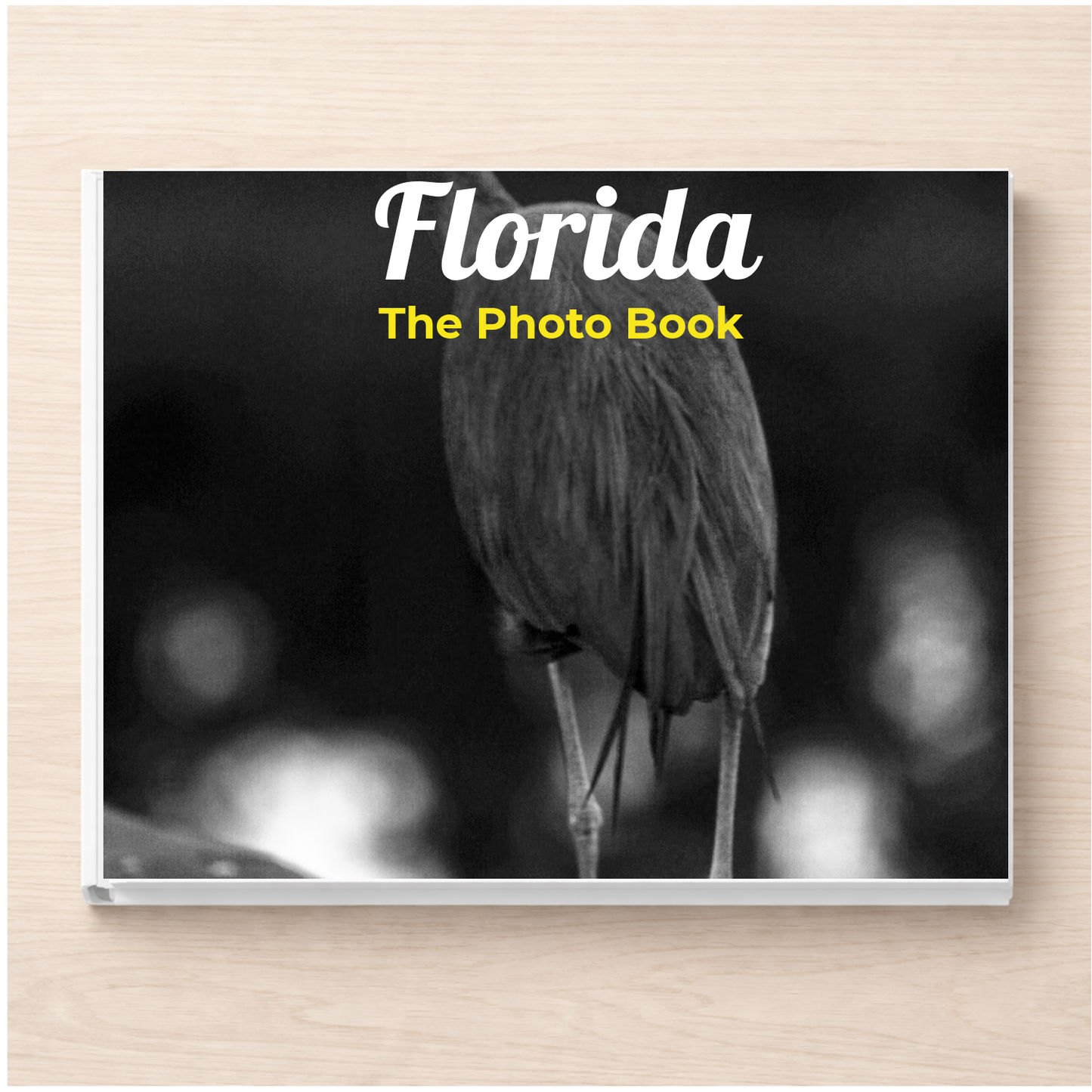 Florida: The Photo Book