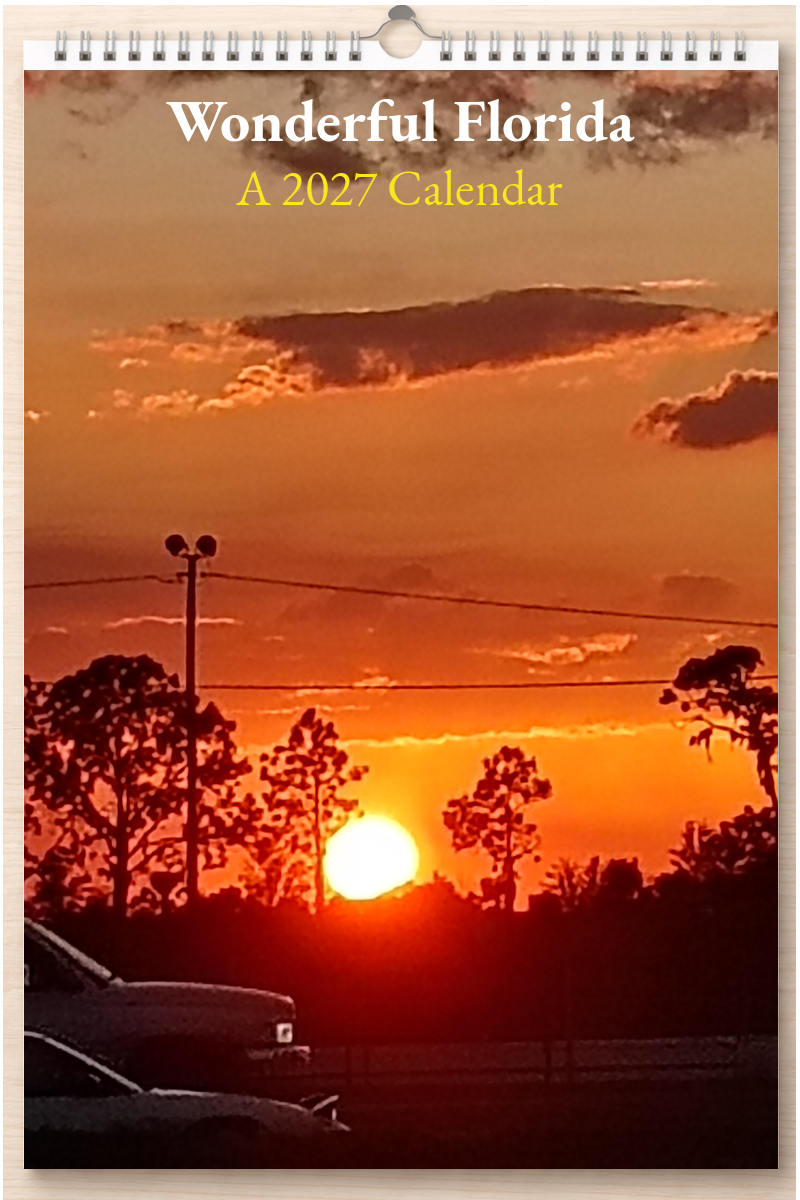 Wonderful Florida: A 2027 Calendar