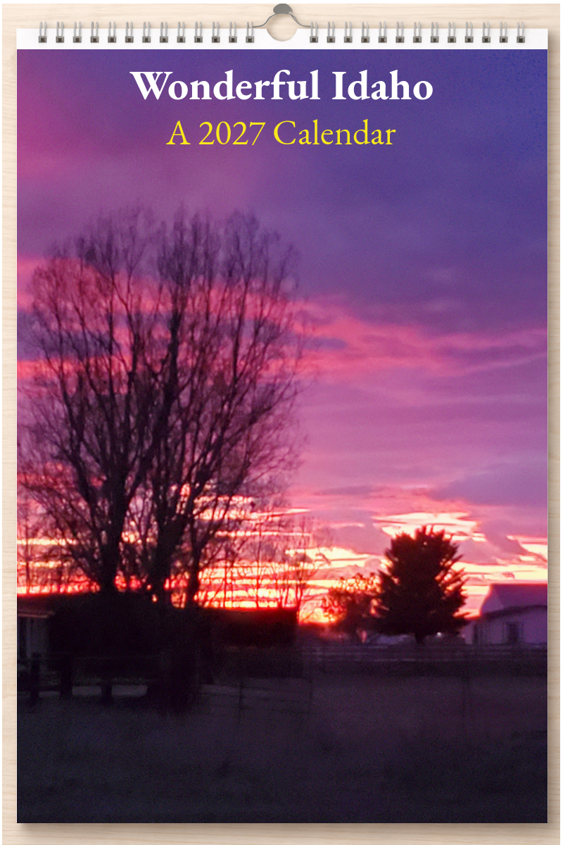 Wonderful Idaho: A 2027 Calendar