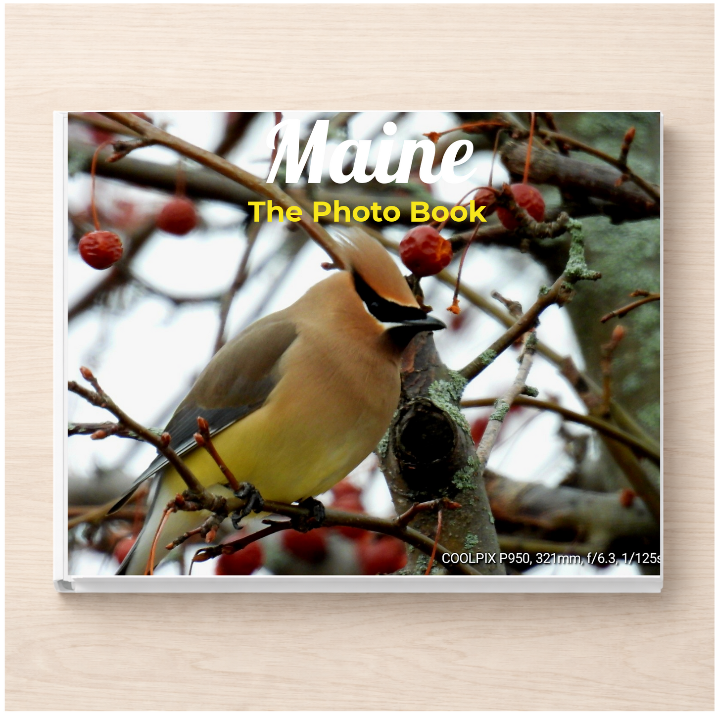 Maine: The Photo Book