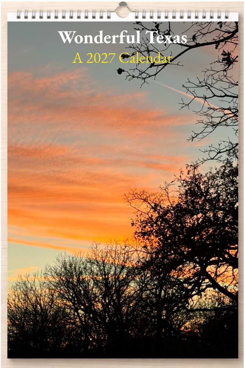 Wonderful Texas: A 2027 Calendar
