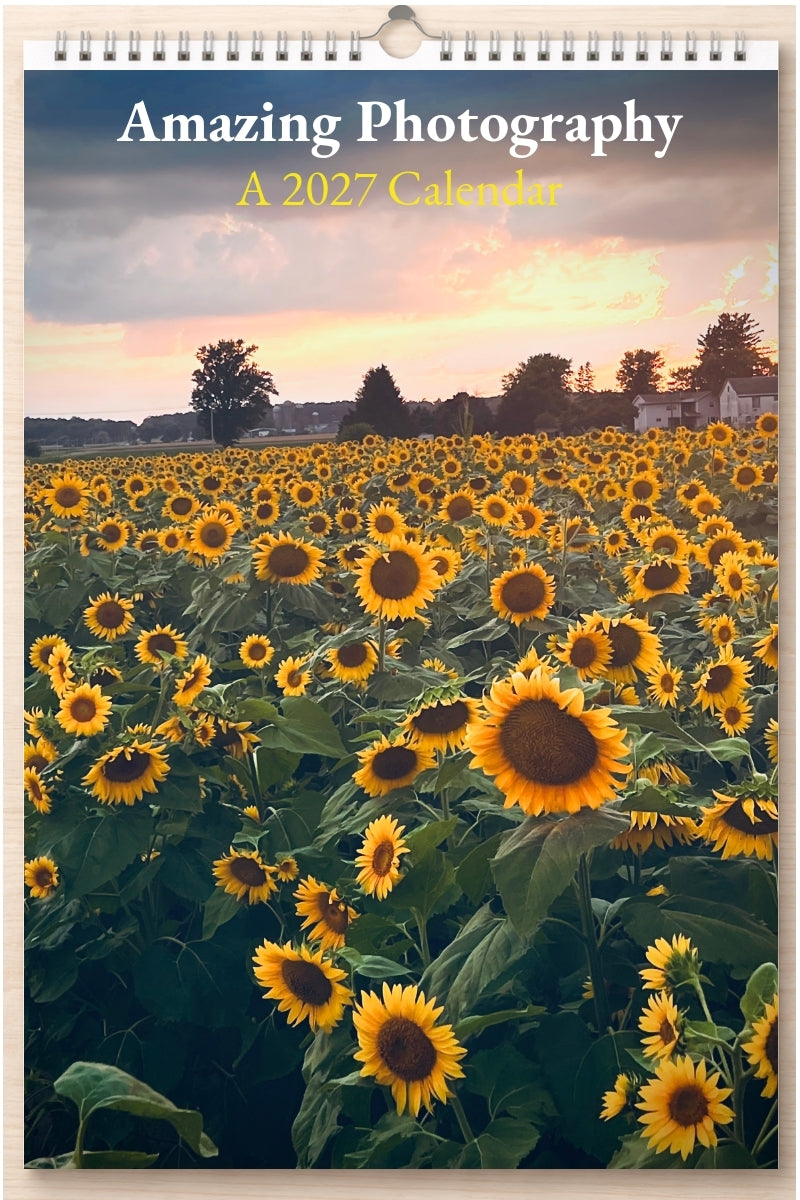 Amazing Photography: A 2027 Calendar